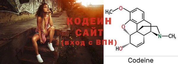 мдпв Осташков