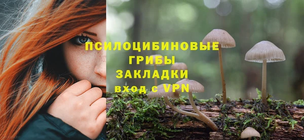 дмт Нязепетровск