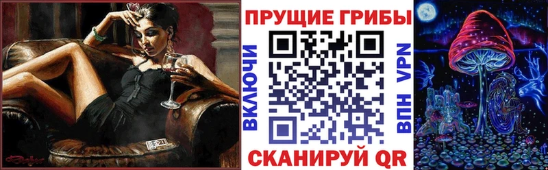 MEGA вход  дарнет шоп  Полярные Зори  Псилоцибиновые грибы MAGIC MUSHROOMS 